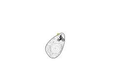 Egg Design