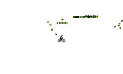 short auto