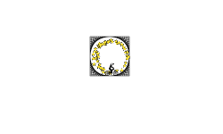 Big circle