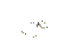 Bunch O Circles