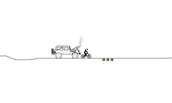 Wild Run