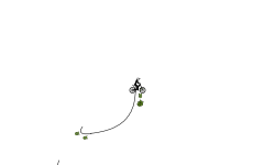 small auto