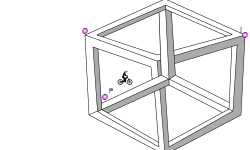 Optical Illusion