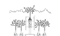 Slight Nature - Trail 4