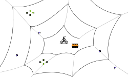 Spider Web