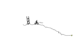 Misty Mountain Downhill (PREV)
