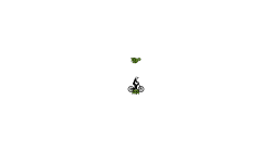 Zero Gravity Auto