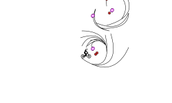 Wheele Cool