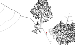 (Not) a TreeRific Wheelie