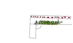 gun