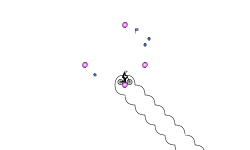 Aerial Fury