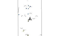Trapped Auto(1)