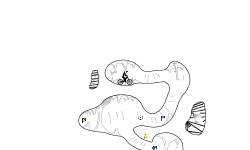 Death_Cave
