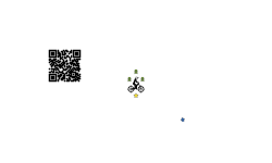 Working QR code?