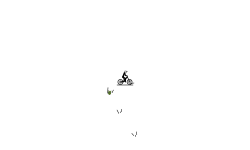 Glitchyy
