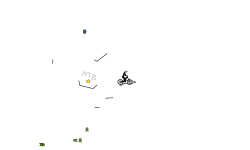 DONT MOVE PRO