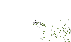 Arrows my fav