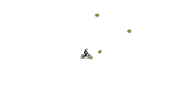 dont move