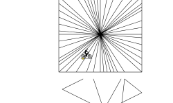 Optical Illusions
