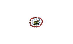 A helicopter glich #5