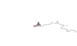 Small Track