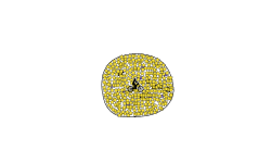 500 Star Ball