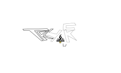 Trick