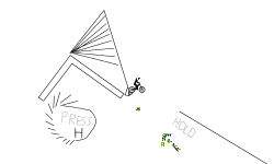 zipline 300