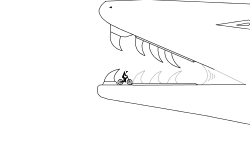 Random Test
