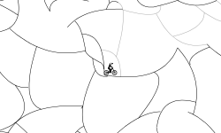 Camoflage  (NTBF)