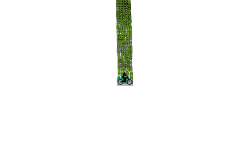 semi auto