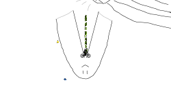 random track auto