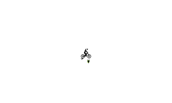 auto-speed