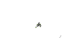 noobtrack