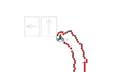 Just a normal Auto