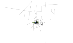 auto lol