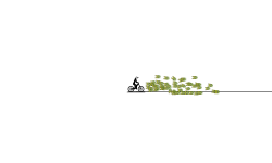 Need For Speed