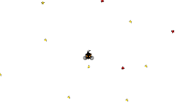 Star challenge - 1