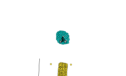 hold right arrow key
