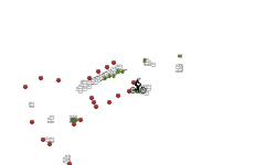 Auto/ Inverted Bike