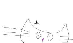 my cat