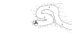 sins