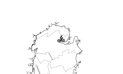 Auto(Who Will Be The Best)