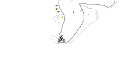 Chickens Have Feet