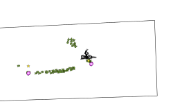 I Now Confusion...