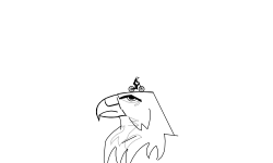 EAgle\\\\dont's play