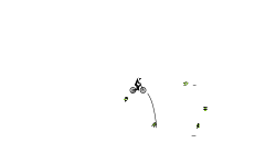 Noob Auto #1
