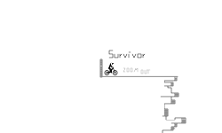 Survivor (desc)