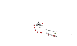 auto challenge