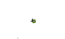 auto level